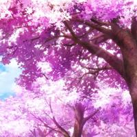 Poll: Which New Anime Series Has the Prettiest Cherry Blossoms?